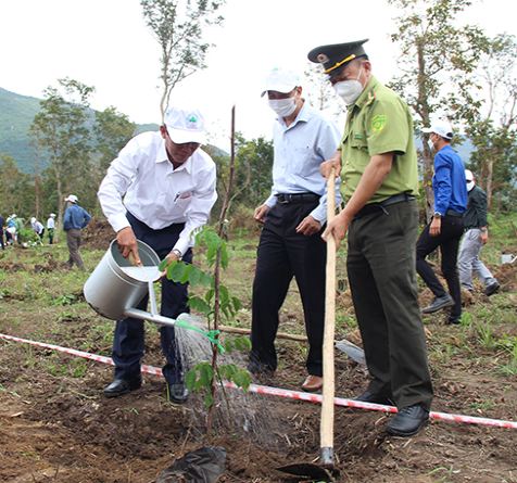 Ông Trần Ngọc Thanh tưới nước cho cây xanh vừa được trồng